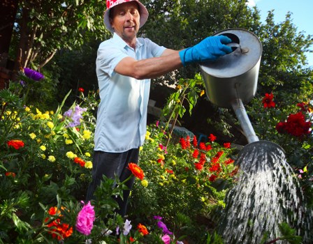 Gardener pruning a tree in a Bermondsey garden