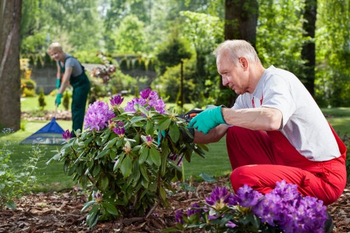 Gardener trimming a terraced house hedge in Bermondsey with shears