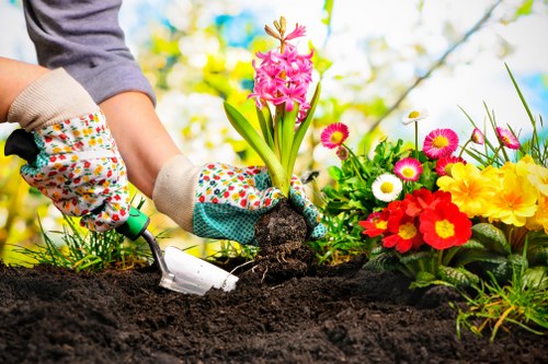 In a well-maintained garden in Bermondsey, a gardener wearing patterned gardening gloves is planting a pink hyacinth among a vibrant display of flowering plants, including red, yellow, white, and pink daisies, in freshly turned dark soil. The garden features a lush green lawn in the foreground, with a border of colorful flowers and some small shrubs. The background shows a soft-focus view of trees with bright green leaves, suggesting a sunny day with clear weather. The scene illustrates outdoor gardening activities typical of professional garden maintenance, highlighting the importance of careful planting and vibrant floral arrangements in outdoor spaces within the Bermondsey area, supported by local gardening services like those offered by Hedge Trimming Bermondsey.