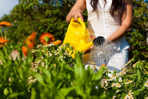 A woman wearing a white sleeveless top is tending to a garden with an array of flowering plants, including orange and white blossoms, on a sunny day. She is holding a bright yellow watering can and watering the plants gently, with water visibly flowing from the spout. The garden features a neatly maintained lawn with lush green grass and a variety of shrubs and flowers arranged along the borders. In the background, dense greenery and trees suggest a private outdoor space, with natural sunlight illuminating the scene and casting soft shadows. The environment appears warm and inviting, demonstrating typical features of a well-kept residential garden in Bermondsey. This setting highlights outdoor gardening activities that a professional service such as Hedge Trimming Bermondsey might support, focusing on plant care, hedge trimming, and lawn maintenance. The overall composition emphasizes a vibrant, healthy garden filled with colourful blooms and thriving foliage, suitable for showcasing expert gardening and landscaping services in the Bermondsey area.